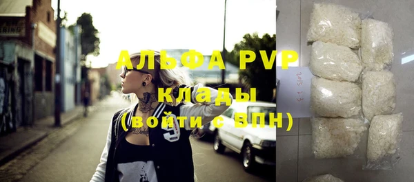 индика Белоозёрский