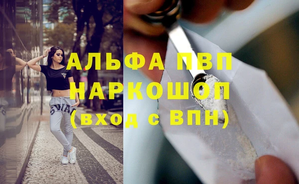 индика Белоозёрский