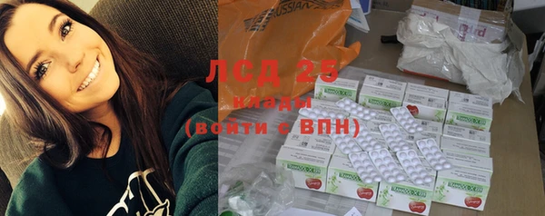 индика Белоозёрский